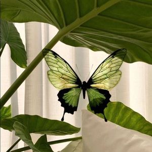 Meet your Posher, Abigail